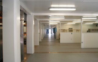 internal