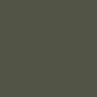 5 Olive-12B27 Olive RAL 12B27