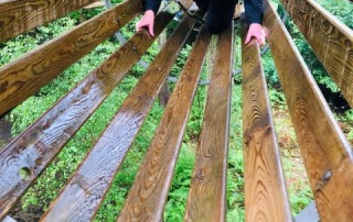 PKL at Go Ape 11