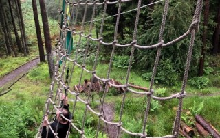 PKL at Go Ape 8