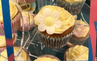 Cupcake Day 1