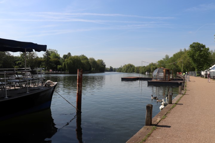 Pub in the Park 6